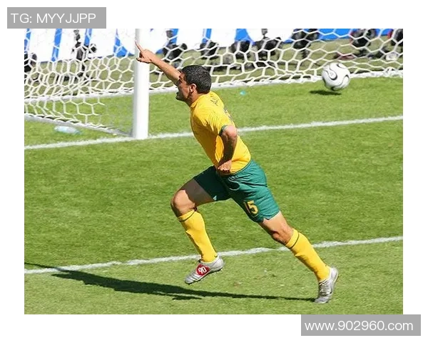 北欧风暴重返世界杯 他们的晋级暗码究竟是什么？